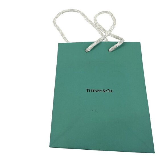 Tiffany & Co. Small Bag - Picture 1 of 10